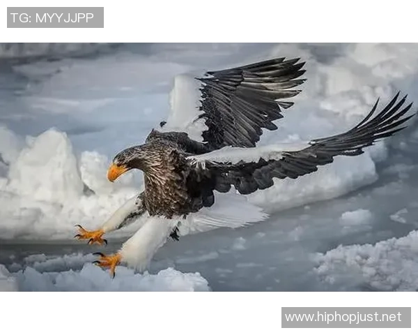 吉达阿赫利与棉衣的激烈对决展现足球魅力与团队精神的巅峰对抗 吉达阿赫利与棉衣的激烈对决展现足球魅力与团队精神的巅峰对抗