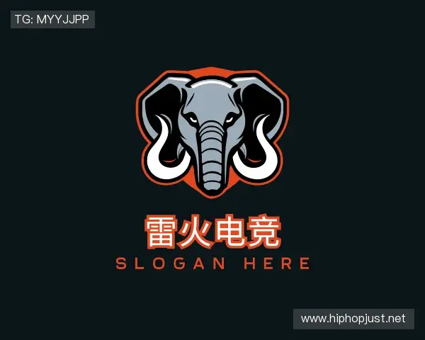 发现雷火电竞